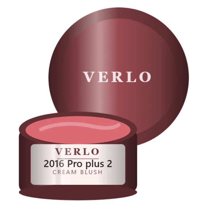 2016 Pro plus 2