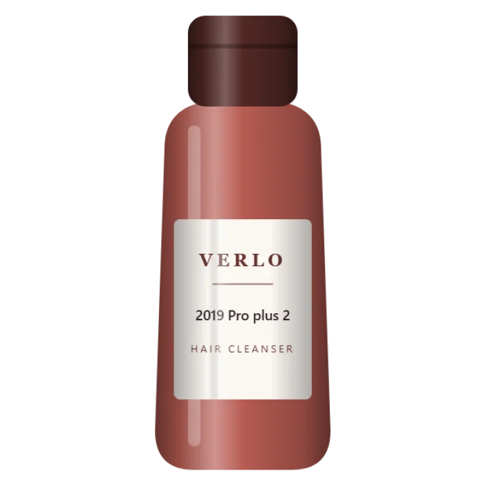 2019 Pro plus 2