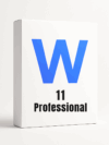 W 11 Pro
